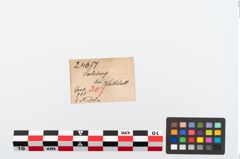 Etikett zu Bronzekugelkopfnadel (NHMW-PRAE-024657)